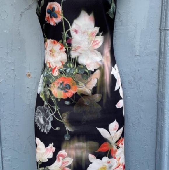 Ted Baker Opulent Bloom Fitted Midi Dress, size Ted 1 (US4) - Picture 4 of 11